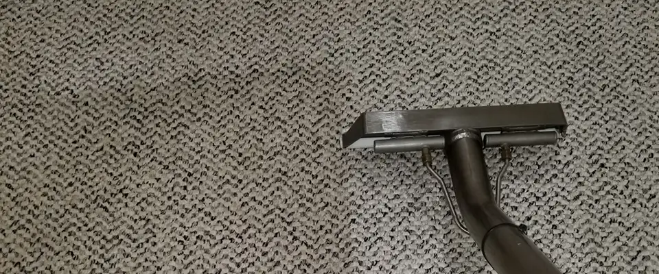 close up of carpet being cleaned