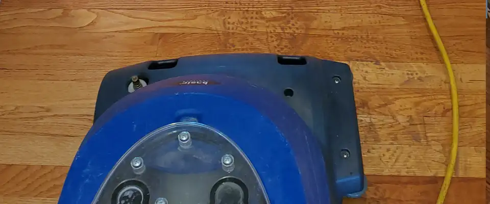 hardwood floor maintenance