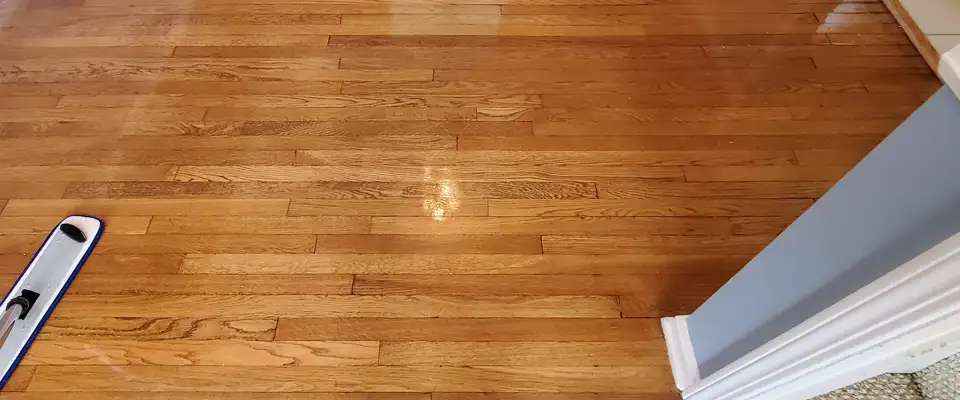 hardwood floor maintenance
