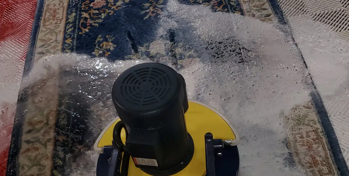 close up of a professional cleaning an Oriental rug