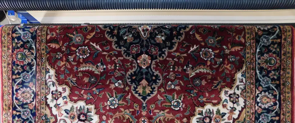 area rug cleaning